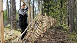 Pekka Hirvimäki rakensi Yli-Iin hautausmaan perinneaidan pääosin kuusesta. Seassa on hiukan myös mäntyä. Mies on kaatanut ja kuorinut itse aitapuut hailuotolaisesta metsästä. (Kuva: Teea Tunturi)