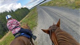 Isoimpia teitä vältellen ja paikallisilta neuvoja kysellen - se on Ritva Lampisen taktiikka, kun hän ratsastaa läpi Suomen. Kuvan on napannut Päivi ojala, joka saatteli Lampisen matkaan Yli-Iistä alkuviikosta.