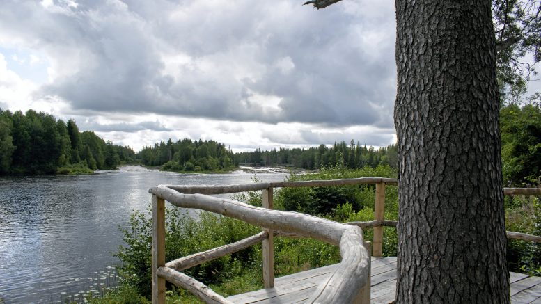 Viime kesänä rakennetulta Petäjäterassilta avautuu komea näkymä Koiteliin.