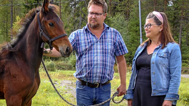 Matti-varsa ei olisi malttanut poseerata kuvaa varten, mutta asettui lopulta hetkeksi kuvakisavoittaja Meri Raution ja Haukiputaan hevoskimppaa vetävän Rami Koiviston vierelle.