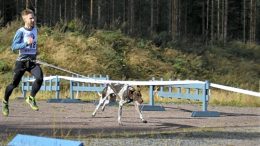 Matti Laaksonen koiransa Roihun kanssa koirajuoksukisoissa. Roihu on perheen koirista nuorin ja menohaluja löytyy.