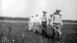 Heinäväki ylittää suota suoportaita pitkin vuonna 1913 .Kuva: Museovirasto, kansantieteen kuvakokoelma, Samuli Paulaharjun kokoelma.