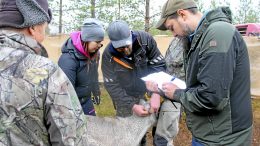 Lapin aluehallintoviraston päätöksellä Kiimingin ja Kollajan paliskunnat yhdistetään virallisesti. Kollajan paliskunnan poroisäntä Lauri Oinas-Panuma (kuvassa oikealla) uskoo, että nyt annettu päätös on poronhoidollisesti järkevin. (Kuva: Teea Tunturi)