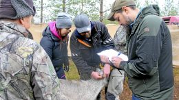 Lapin aluehallintoviraston päätöksellä Kiimingin ja Kollajan paliskunnat yhdistetään virallisesti. Kollajan paliskunnan poroisäntä Lauri Oinas-Panuma (kuvassa oikealla) uskoo, että nyt annettu päätös on poronhoidollisesti järkevin. (Kuva: Teea Tunturi)