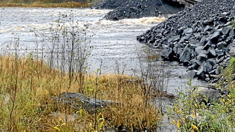 Varasilta penkereineen on poistettu sillan pohjoispuolelta, mutta eteläpuolen penger on vielä paikallaan, ja se huolestuttaa kalatalousaluetta, joka pelkää, että penger estää esimerkiksi taimenen nousun jokeen tältä keväältä. Kalataloualueen mielestä penkereet olisi pitänyt poistaa ennen tulvia. (Arkistokuva: Jorma Leskelä)