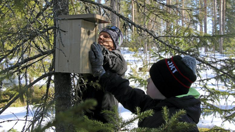 Matti Paakki ja Leevi Laitinen löysivät sopivan paikan linnunpöntölle ja laittoivat sen yhdessä tuumin kiinni odottamaan asukkaita. (Kuva: Teea Tunturi)