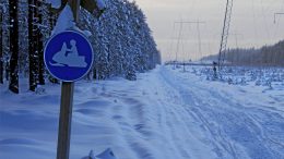 Virallisen moottorikelkkareitin reittisuunnitelmat Kiimingistä Ouluzonen kautta Ylikiimingin suuntaan hyväksyttiin lukuisista muistutuksista ja aiemmasta hylkäämisestä huolimatta. Jo aiemmin hyväksyttiin reittisuunnitelmat reitille Kiimingistä Yli-Iin suuntaan. (Arkistokuva: Teea Tunturi)