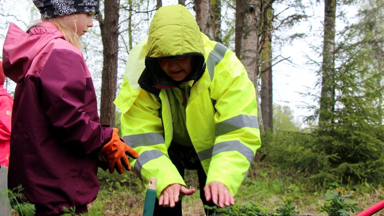 Eskarilainen Seela Kokko ja talkoolainen Taina Mäntykenttä istuttivat kasveja yhdessä Vesalan yhteisöllisen puutarhan avajaisissa. Osa taimista on päiväkotilaisten ja oppilaiden itsensä kasvattamia, osa on saatu muun muassa kyläläisiltä lahjoituksina. (Kuva: Teea Tunturi)