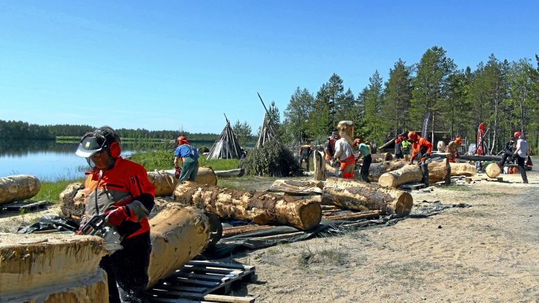 Kierikissä moottorisahat laulavat jälleen kesäkuun puolivälissä. (Arkistokuva: Milja Mustonen)