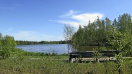 Haapajärven pitkospuiden varrella oleva levähdyspaikka sopii vaikkapa lintujen bongaukseen. Järveltä voi bongata silkkiuikun, haapanan, joutsenperheen tai harmaahaikarankin. Kesähelteellä järvi antaa lisämausteeksi väkevät hajut ja sinilevän kukinnan.