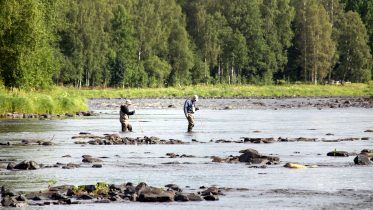 Juhani Aho ja Jukka Tuohino merkitsivät paikkoja uusille kutusorakoille Alakoskeen. Operaatiosta selvittiin kaatumatta ja kastumatta.