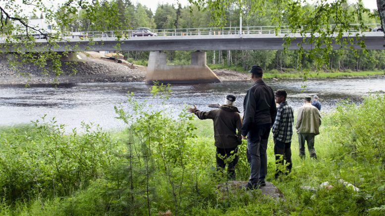 Allikon siltatyömaan alla virtaavaa koskea käytiin tutkimassa toissa perjantaina. Koskesta löytyi odotettua vähemmän siltatyömaalta valunutta mursketta.