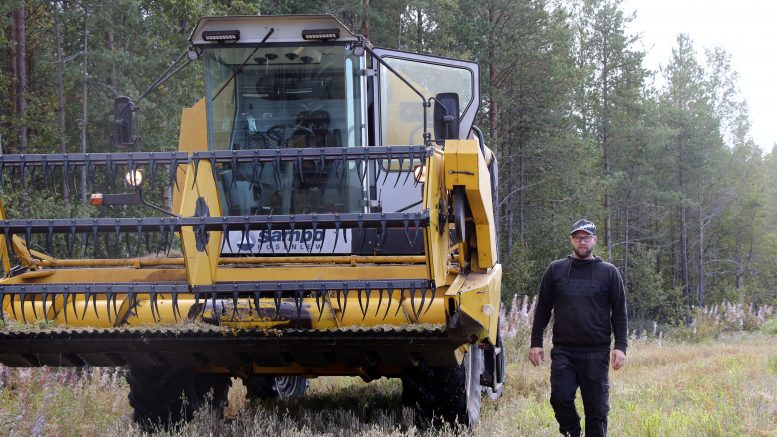 Alakyläläinen maanviljelijä, karjatilallinen Janne Isokanniainen sai viime viikon loppupuolella kaikki puinnit pelloillaan tehtyä. Sato osoittautui hyväksi ja nyt tilan karjalle riittää omaa viljaa syötäväksi lähes kokotulevan kauden ajaksi. (Kuva: Teea Tunturi)