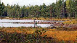 Vedenpinta on Keskimmäisessä Pihlajajärvessä laskenut liki metrin normaalia alemmas munkin vuotamisen takia.