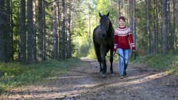 Maria Kurttila treenaa raviohjastajataitojaan kotona Iissä omien hevostensa kanssa. Tilaa treenata on kodin ympäristössä kulkevilla metsäpoluilla reilusti.