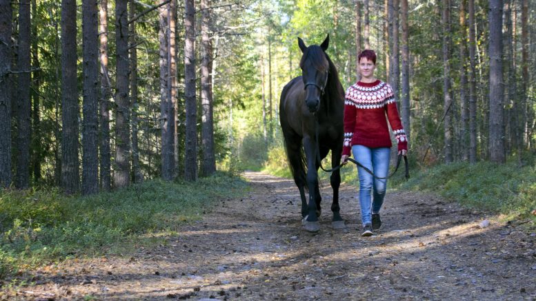 Maria Kurttila treenaa raviohjastajataitojaan kotona Iissä omien hevostensa kanssa. Tilaa treenata on kodin ympäristössä kulkevilla metsäpoluilla reilusti.