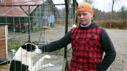 Neljätoistavuotiaan Otso Kyllösen mielestä luonnossa liikkuminen, metsästys ja kalastus ovat parhaita harrastuksia. Vaikka saalis ei hänen mielestään olekaan tärkeintä, tuntuu ensimmäinen hirvenkaato toissa sunnuntaina mukavalta. Mukana metsällä olivat myös karjalankarhukoirat Tiki ja Kata.