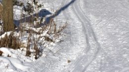 Iin kunnan yhdyskuntalautakunta on määritellyt, milloin mikäkin latu ja luistelualue pidetään kunnostettuna.