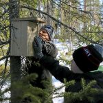 Huhtikuu: Jäälin koulun oppilaat ja Kiimingin-Jäälin vesienhoitoyhdistyksen vapaaehtoiset laittoivat Kalamäkeen kymmeniä linnunpönttöjä. Matti Paakki ja Leevi Laitinen löysivät sopivan paikan linnunpöntölle kuusen katveesta. (Kuva: Teea Tunturi)