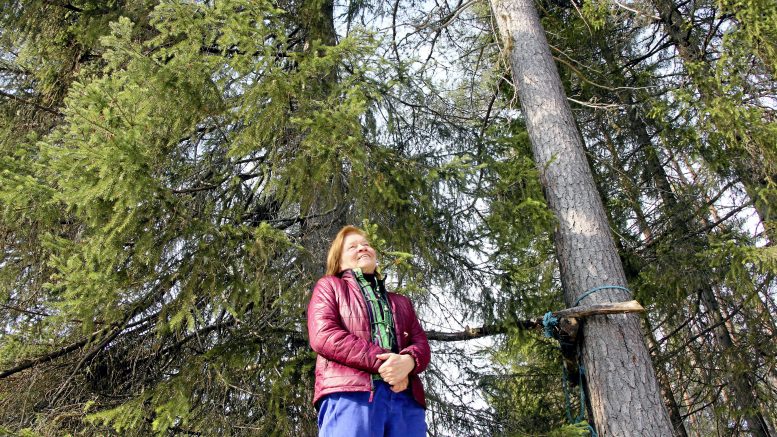 Jolokselta maailmalle lähtenyt Ahonen on nähnyt ilmastonmuutoksen ja ylikulutuksen jälkiä eri puolilla maailmaa. Kirjassaan hän haluaa herätellä ihmisiä reagoimaan myös tähän. (Arkistokuva: Teea Tunturi)