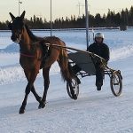 Matti-varsa on päässyt jo raviharjoitteluun.