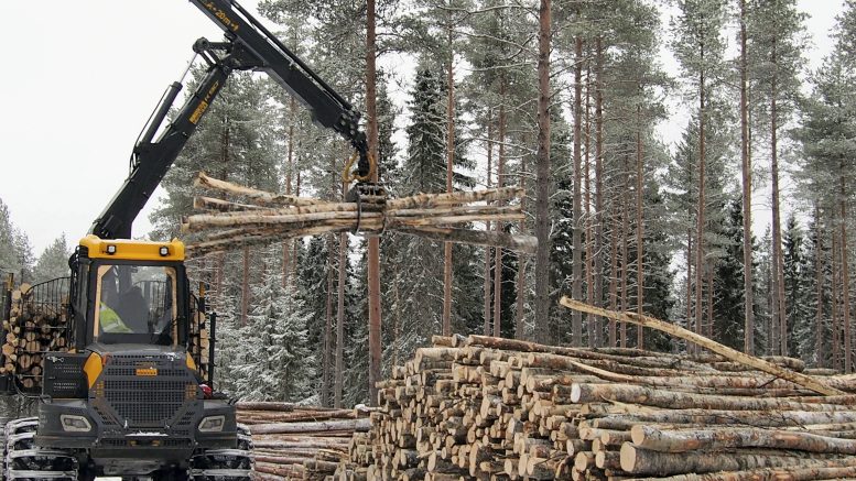 Talven hakkuut ovat Iin metsissä vauhdissa, ja pakkasten ansiosta penkkatiet ja metsäautoteiden pohjat ovat hyvässä kunnossa. Iin mhy:n toiminnanjohtaja Henri Turtinen on myös hyvillään, että vaihtoehtoja koivukuitupuun menekkiin on alkanut löytyä. Kotimaan hintoja halvemmalla ei koivukuitua kuitenkaan ulkomaillekaan myydä.