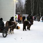 Ponin kyytiin pääsi niin ratsaille kuin myös kärryihin.