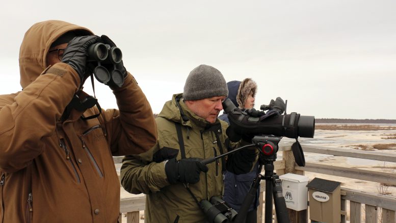 Pohjois-Iin kyläyhdistyksen joukkue Patakarin taistelijat osallistui lauantaina BirdLife Suomen järjestämään Tornien taistoon. Ilkka Kärkkäinen, Pauli Jussila ja Jukka Sassi havainnoivat tuulisesta ja sateisesta tornista kahdeksan tunnin aikana 46 lintulajia.