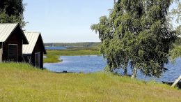 Kiiminkijoki kirvoitti Haukiputaan seiskaluokkalaiset ruonoilemaan. (Kuva: Auli Haapala)