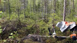 Iin kunnanhallitus päätti että, talousmetsien käytöstä ja uudistamistavoista päätetään valmistelun pohjalta erikseen. (Kuva: Teea Tunturi)