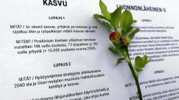 Kasvu, luonnonläheinen Ii, henkinen hyvinvointi ja systeeminen muutos ovat Iin kunnan uuden kuntastrategian kehittämisteemoina.