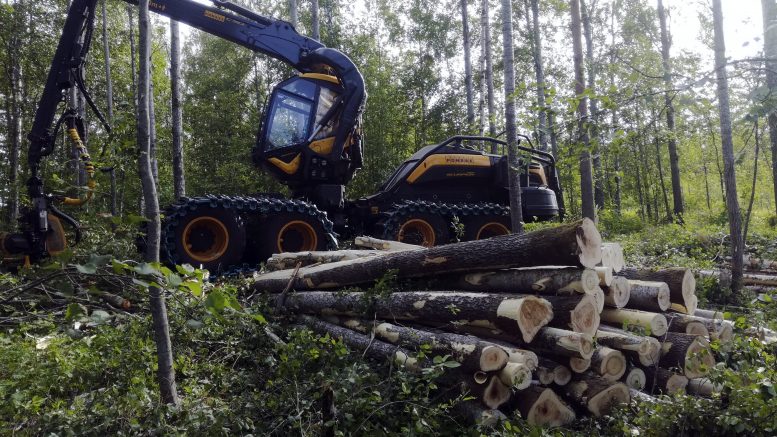 Veljekset Kellola on keskittynyt maanrakennus- ja metsäkoneurakointiin.