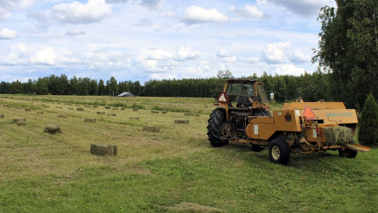 Juha Lindholm käyttää edelleen paalaamiseen 1960-luvulta peräisin olevaa paalainta, joka toimii kuulemma loistavasti.