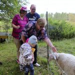 Yrjänän perhekodissa yhteistä puuhaa löytyy myös ulkosalta, sillä perheen pihassa on kesäisin lampaita.