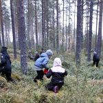 Puolukkaretkellä on käyty ahkerasti. (Kuva: Tuulikki Haapola)