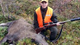12-vuotias Tatu Pakanen ja hänen kaatamansa hirvi. Nyt porukan syksyn lupakiintiö on käytetty ja seuraavaa hirvijahtia on odotettava ensi syksyyn.