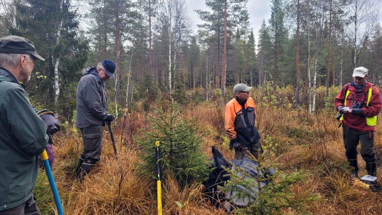 Erkki Kuivaniemi, Esko Saari, Mauri Huhtala ja Petri Haapala. Talkoiden alun tilannekatsaus ja sopivan paikan suunnittelua padolle. (Kuva: Kirsi Eskelinen)