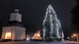 Haukiputaan kirkon edustan iso kuusi valaistiin jälleen ensimmäiseksi adventtisunnuntaiksi ja se luo tunnelmaa itsenäisyyspäivän juhliin ja joulukauden tapahtumiin. Kuva: Auli