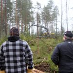 Haipuskyläntien varressa seurattiin metsäkoneen ripeää työskentelyä.