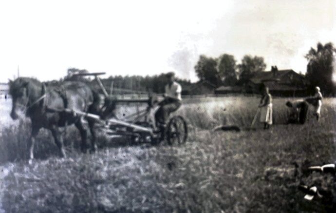 Kuva Iita Niskalan kotitilalta. Kuvassa Iitan Heikki-veli niittää heinää uudella Milwaukee-niittokoneella.