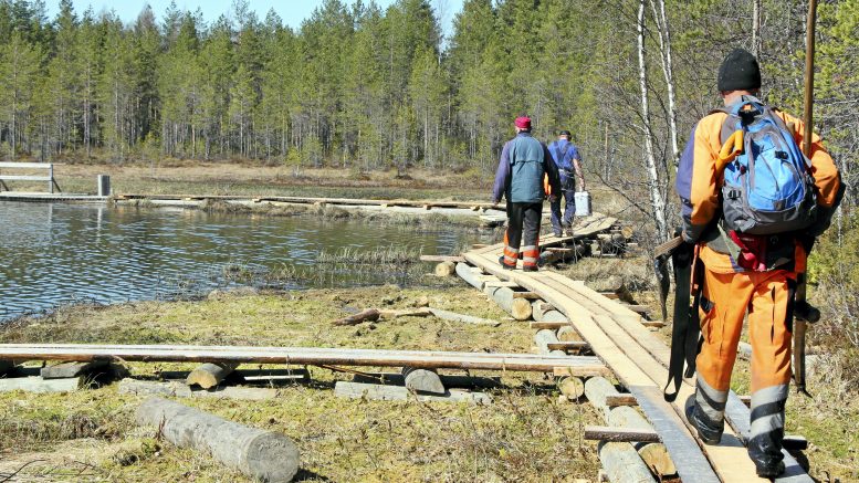 Ylikiimingin kalastuskunta on toiminut aktiivisesti vuodesta 2004 alkaen vesistöjen kunnostukseen liittyvissä monipuolisissa hankkeissa. Vaaralammen ympärille rakennettiin pitkokset vuonna 2018. (Arkistokuva: Teea Tunturi)