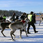 Osakilpailu saatiin kisata kirpakassa pakkassäässä.