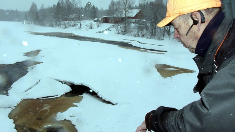 Kiiminkijoen Aittokoski Vesalan kupeessa oli aikanaan Pentti Marttila-Tornion mukaan yksi joen parhaita koskia harrin narraukseen. Hän toivoo, että siltäkin osin Kiiminkijoen tila saadaan palautettua ennalleen. (Kuva: Teea Tunturi)
