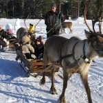 Yleisön nuorimpia edustajia kiinnostivat enemmän jakkukyläläisen Jari Jussilan rekiporot ja niiden kyydillä ajelu kuin pelien seuraaminen. Harald ja Börje hoitivatkin hommat mukisematta, Gunnar oli kuvanottohetkellä lepovuorossa. Tapahtumassa oli myös mahdollisuus tutustua maastopyöriin ja -pyöräilyyn.