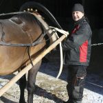 – Hevosesta pitää tehdä kesy jo pienenä. Sitä pitää käsitellä paljon ja totuttaa valjastamiseen ja ajamiseen, myös muiden varsoja opettanut Uusitalo kertoo.