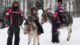 Tapahtuman suosikeiksi nousseet Bambi- ja Berit-aasit sen enempää kuin pienet ratsastajatkaan eivät antaneet räntäsateen hidastaa mukavaa ratsastushetkeään. Taluttajana Mikko Mähönen, pienemmän Bambin selässä Nanna ja Beritin kyydissä kaveri Saaga sekä Beritiä taluttamassa Janette.