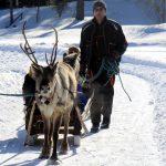 Jari Jussila kertoi Pörrön ja Harri Haraldin jaksavan hyvin parin tunnin vetohommat.