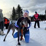 Saara Loukkola ja puolentoista vuoden ikäinen Elmo-koira onnistuvat valjakkourheilun MM-kisoissa Äsarnassa.
