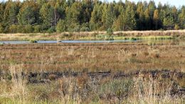 Rantapohjan alueella on aiemmin ennallistettu turvetuotannossa olleita soita muun muassa Turveporo-hankkeen puitteissa. Kuva on Yli-Iin Latvasuolta. (Arkistokuva: Teea Tunturi)