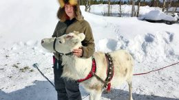 Aino Pakasen kesy Late poro oli ehdottomasti aprilliriehan tähti.